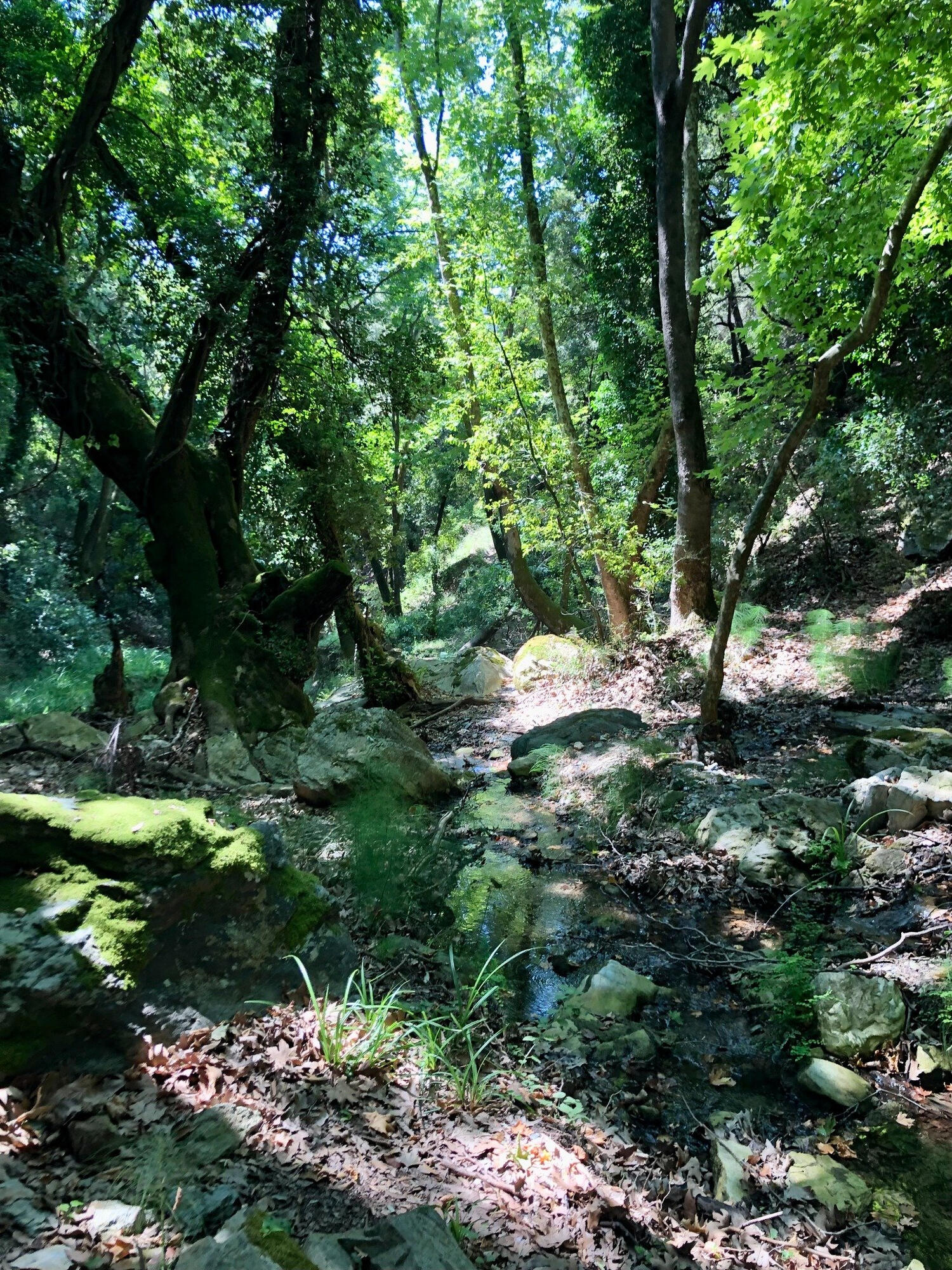 Skiathos